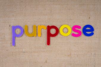 Purpose: Unternehmen im Spannungsfeld zwischen Sinn und Zweck (1. Staffel)